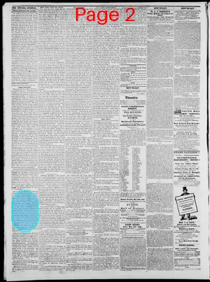 Page thumbnail for The Nevada Journal