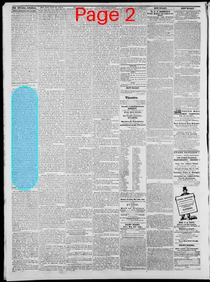 Page thumbnail for The Nevada Journal