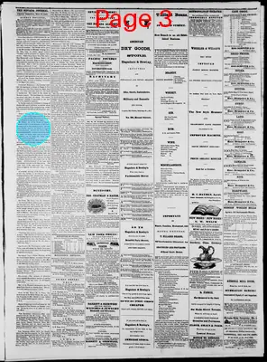 Page thumbnail for The Nevada Journal