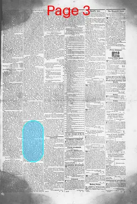 Page thumbnail for Edgefield Advertiser