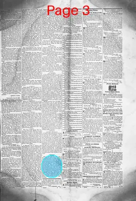 Page thumbnail for Edgefield Advertiser
