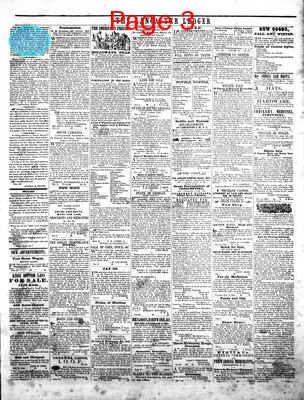 Page thumbnail for The Lancaster Ledger