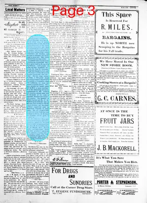 Page thumbnail for The Lancaster Ledger
