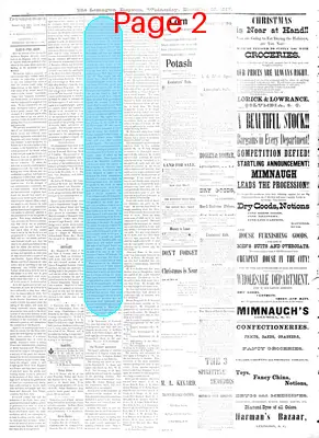 Page thumbnail for The Lexington Dispatch