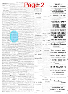 Page thumbnail for The Lexington Dispatch