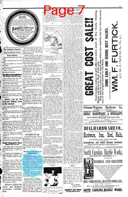 Page thumbnail for The Lexington Dispatch