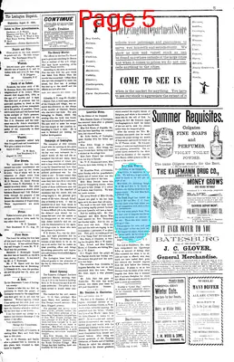 Page thumbnail for The Lexington Dispatch