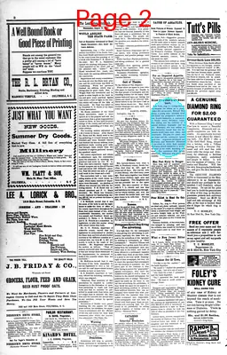 Page thumbnail for The Lexington Dispatch