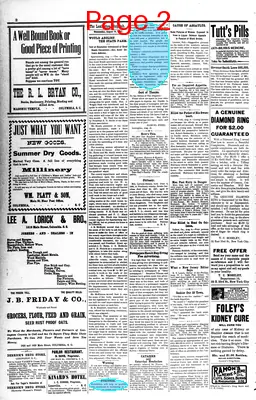 Page thumbnail for The Lexington Dispatch