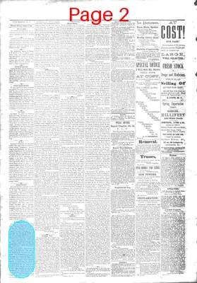 Page thumbnail for The Newberry Herald