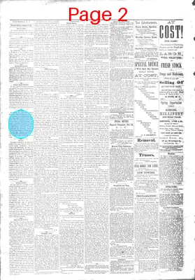 Page thumbnail for The Newberry Herald