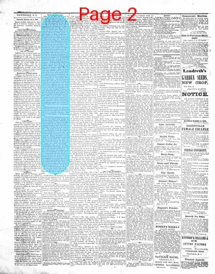 Page thumbnail for The Newberry Herald