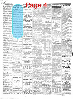 Page thumbnail for The Newberry Herald
