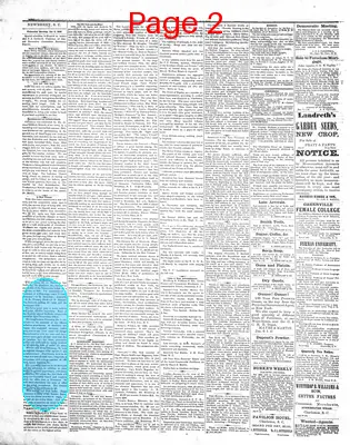 Page thumbnail for The Newberry Herald