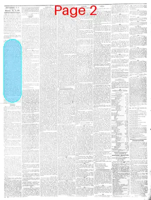 Page thumbnail for The Newberry Herald