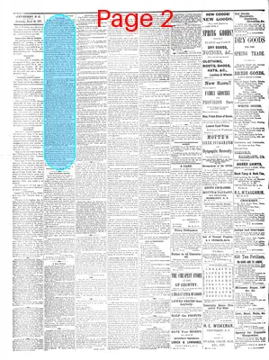 Page thumbnail for The Newberry Herald