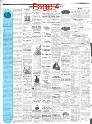 Page thumbnail for The Newberry Herald