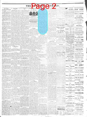 Page thumbnail for The Newberry Herald