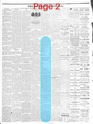 Page thumbnail for The Newberry Herald