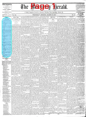 Page thumbnail for The Newberry Herald