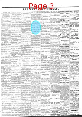 Page thumbnail for The Newberry Herald