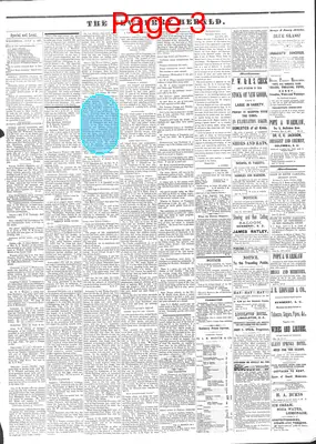 Page thumbnail for The Newberry Herald