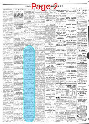 Page thumbnail for The Newberry Herald