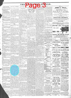 Page thumbnail for The Newberry Herald