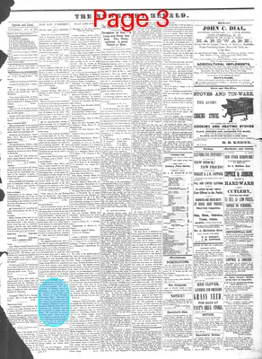 Page thumbnail for The Newberry Herald