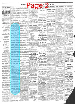 Page thumbnail for The Newberry Herald