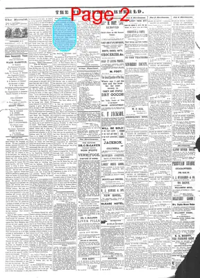 Page thumbnail for The Newberry Herald
