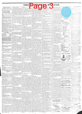 Page thumbnail for The Newberry Herald