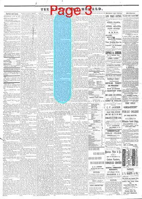 Page thumbnail for The Newberry Herald