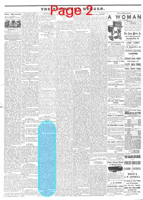 Page thumbnail for The Newberry Herald