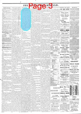 Page thumbnail for The Newberry Herald