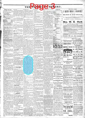 Page thumbnail for The Newberry Herald