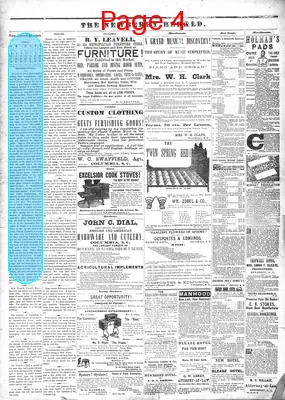 Page thumbnail for The Newberry Herald