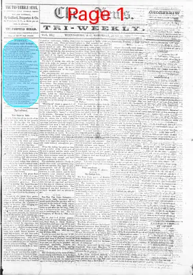 Page thumbnail for The Tri Weekly News