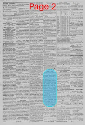 Page thumbnail for The Anderson Intelligencer