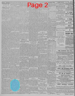 Page thumbnail for The Anderson Intelligencer