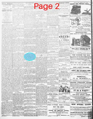 Page thumbnail for The Anderson Intelligencer
