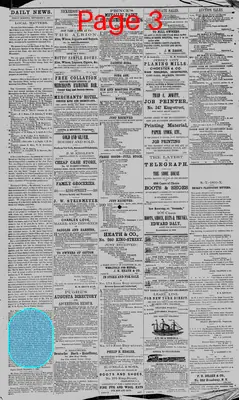 Page thumbnail for The Charleston Daily News