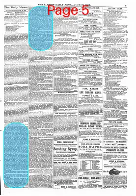Page thumbnail for The Charleston Daily News