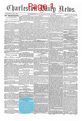 Page thumbnail for The Charleston Daily News
