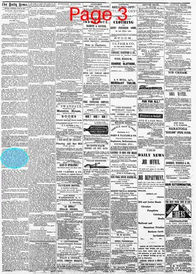 Page thumbnail for The Charleston Daily News