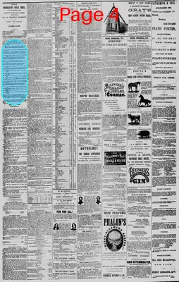 Page thumbnail for The Charleston Daily News