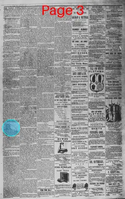 Page thumbnail for The Charleston Daily News