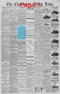 Page thumbnail for The Charleston Daily News