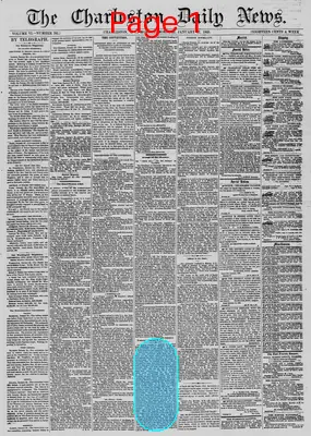 Page thumbnail for The Charleston Daily News