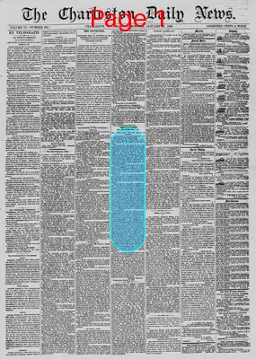 Page thumbnail for The Charleston Daily News